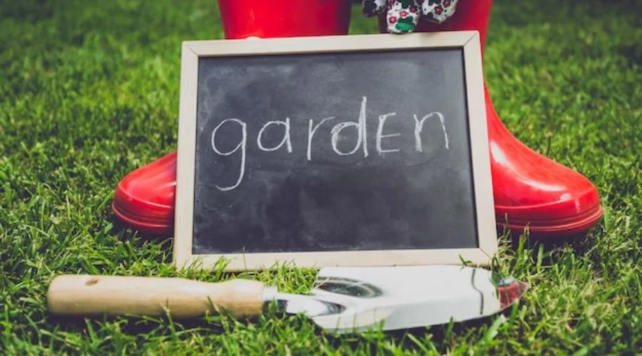 Perfect Garden Equipment for Your Home Garden