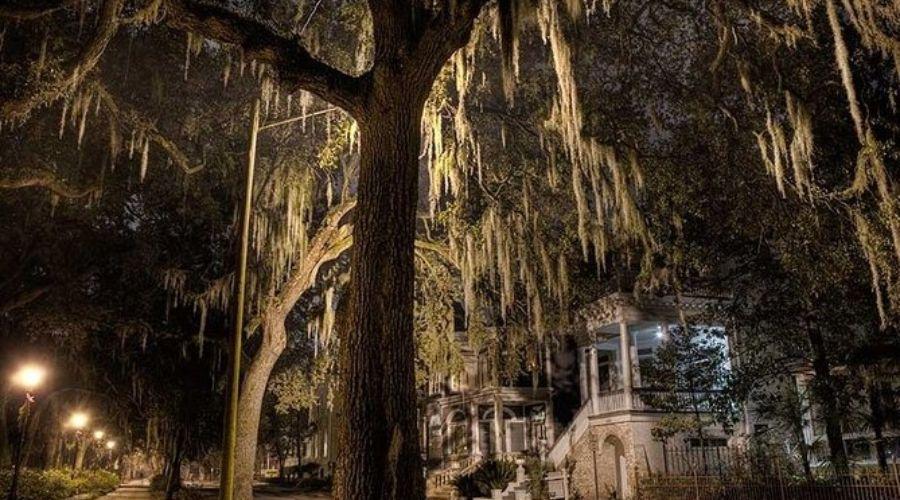 Explore the ghosts of Savannah, Georgia 