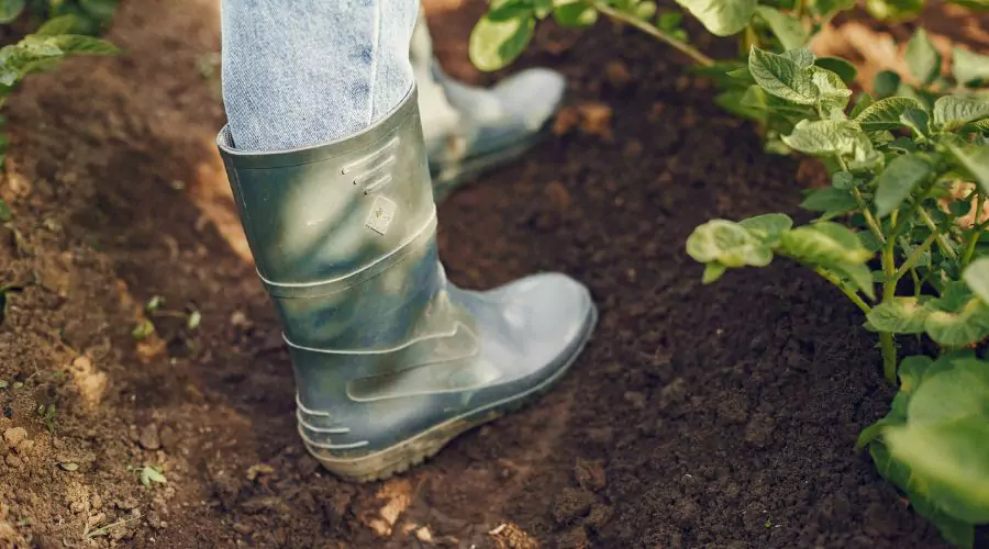 How do you take care of your Garden Boots? 