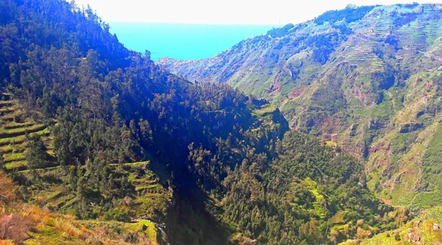 Holiday in Madeira