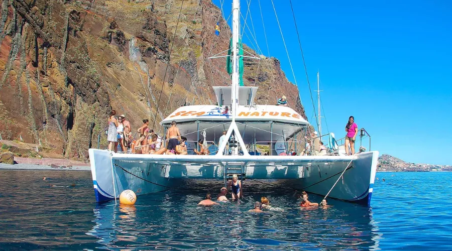 Madeira Wine Tasting and Dolphin Watching Tour