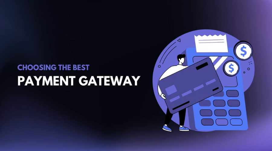 payment gateway options | Nobelpuma