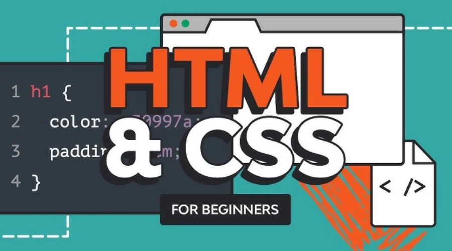 HTML and CSS for Beginners - Build a Website & Launch ONLINE (1)
