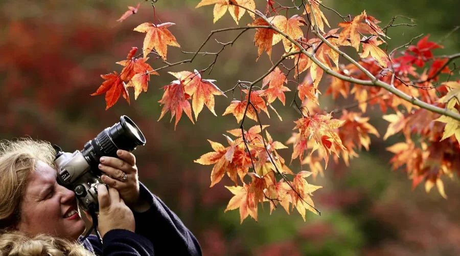 Photography Masterclass Your Complete Guide to Photography