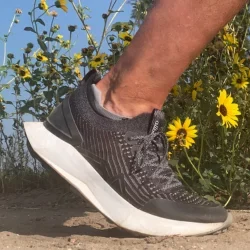 Allbirds sneakers (1)