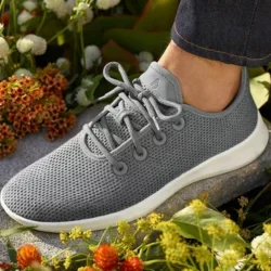 Allbirds sneakers